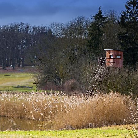 Tiny House Fleesensee Mit Eigenem Garten Und Nur Wenige Meter Vom Seeufer Göhren-Lebbin Buitenkant foto