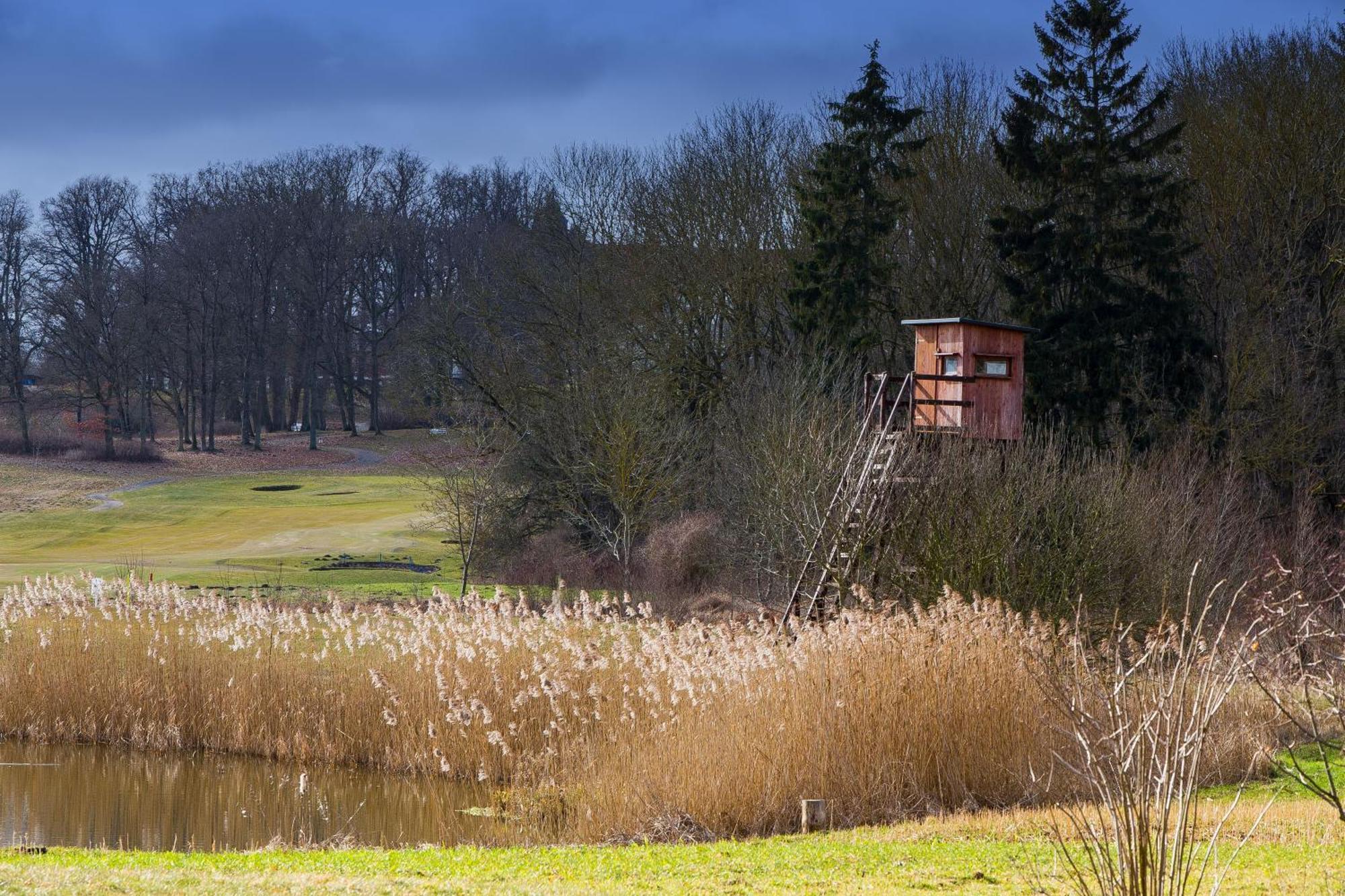 Tiny House Fleesensee Mit Eigenem Garten Und Nur Wenige Meter Vom Seeufer Göhren-Lebbin Buitenkant foto